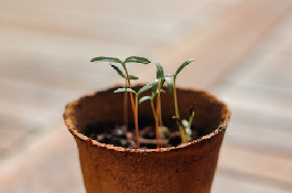 不因虚度年华而悔恨，每天学做一点点